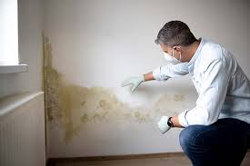 Best Mold Removal for HVAC Installations  in Heyworth, IL